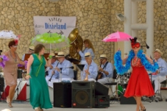 dsc_9723_070-300x201